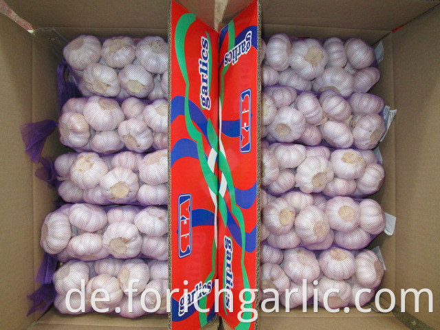 New Crop Fresh Season Garlic